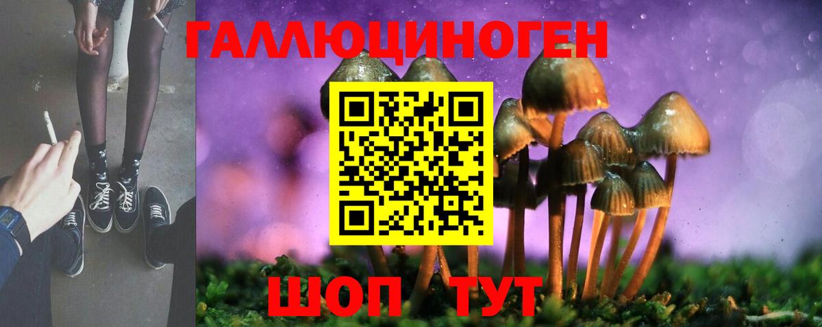 Галлюциногенные грибы MAGIC MUSHROOMS  закладка  Скопин  Вход с VPN 